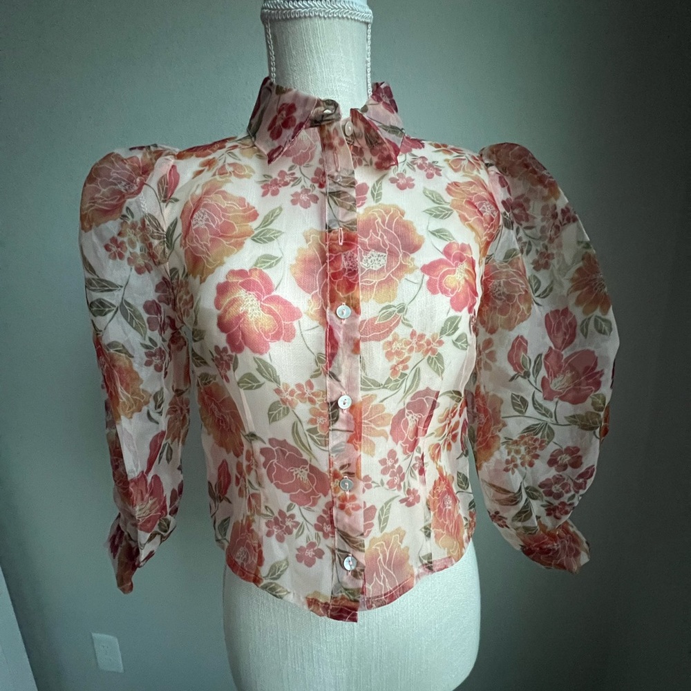 Sheer Floral Organza Top